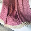 Pink Throw Blanket With Tassels